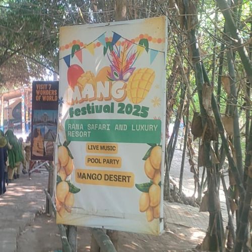 Mango Festival 2025